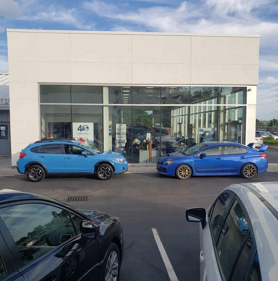 Meet your Posher, Michael - Picture 1 of 1